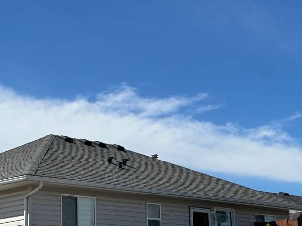 Best Roof Maintenance and Cleaning  in Missoula, MT